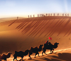 ������ʷ