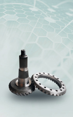 �����㲿��